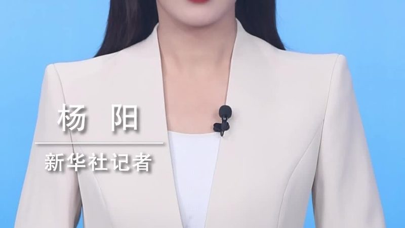北京智慧解决方案：构建未来城市的智能基石**